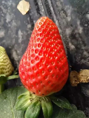 1582977548273060396.jpg 7.jpg